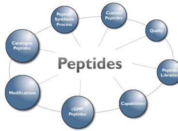 Growth Hormone Peptides Explored