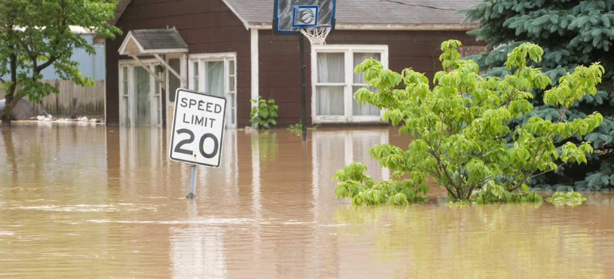 Make your house flood free with help of professionals within no time