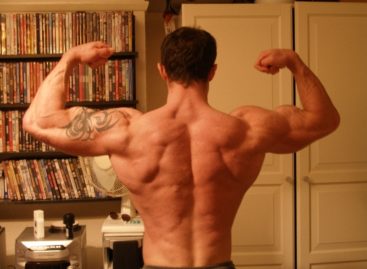 Steroid Cycles for bulking and cutting