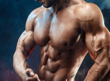 Are Steroids Good or Bad For the Muscular Development?