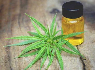 How Is CBD Hemp Oil Helpful for Cancer Patients?
