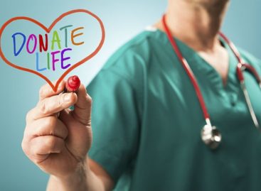 What You Need to Know About Organ Donation