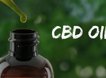 Improve your health with usage of CBD oil