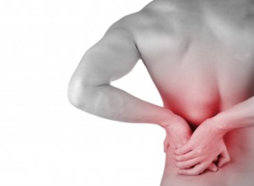 Back Pain: All the Facts you should know