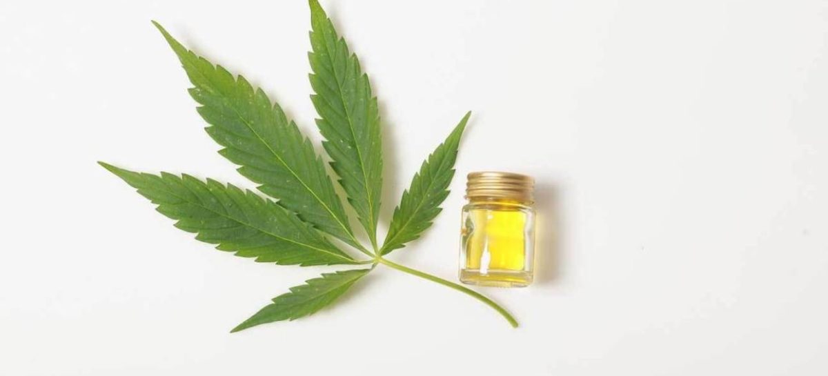 What Benefits CBD Oil Have on Human Health?