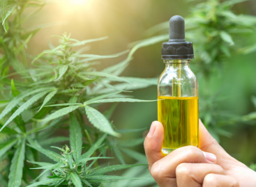 The Best CBD Oil and the Benefits
