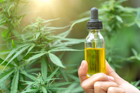 The Best CBD Oil and the Benefits