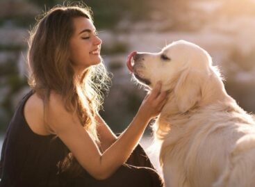 Pick the recommended Melatonin supplement for your pet’s well-being