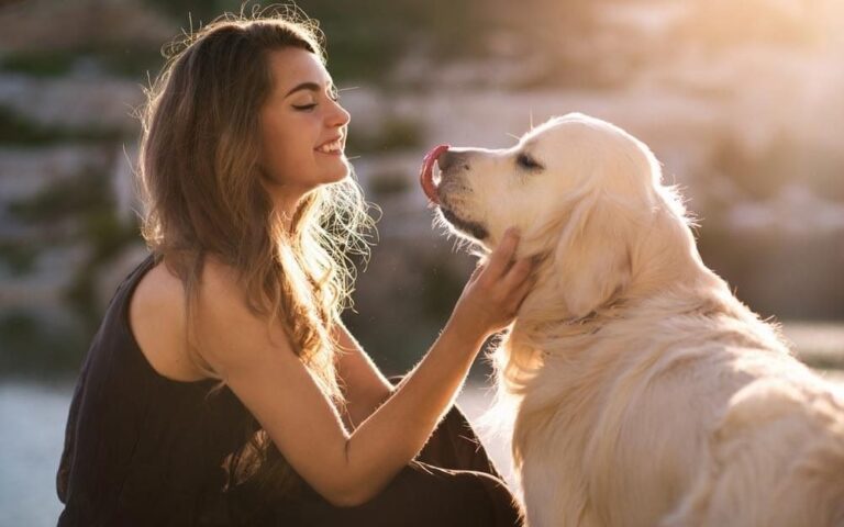 Pick the recommended Melatonin supplement for your pet’s well-being