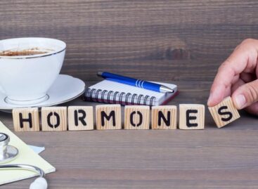 The Importance of Hormones in the Body