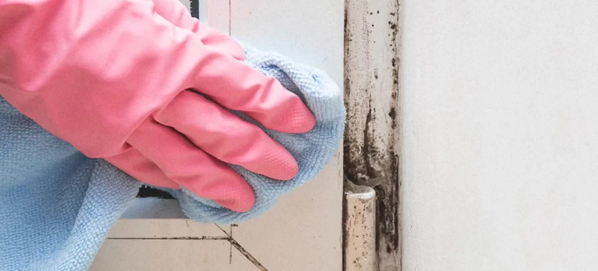Medical Treatments for Mold Exposure: What You Need to Know