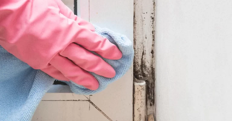 Rubber_glove_hand_cleaning_wall-1200x628-FACEBOOK-1200x628