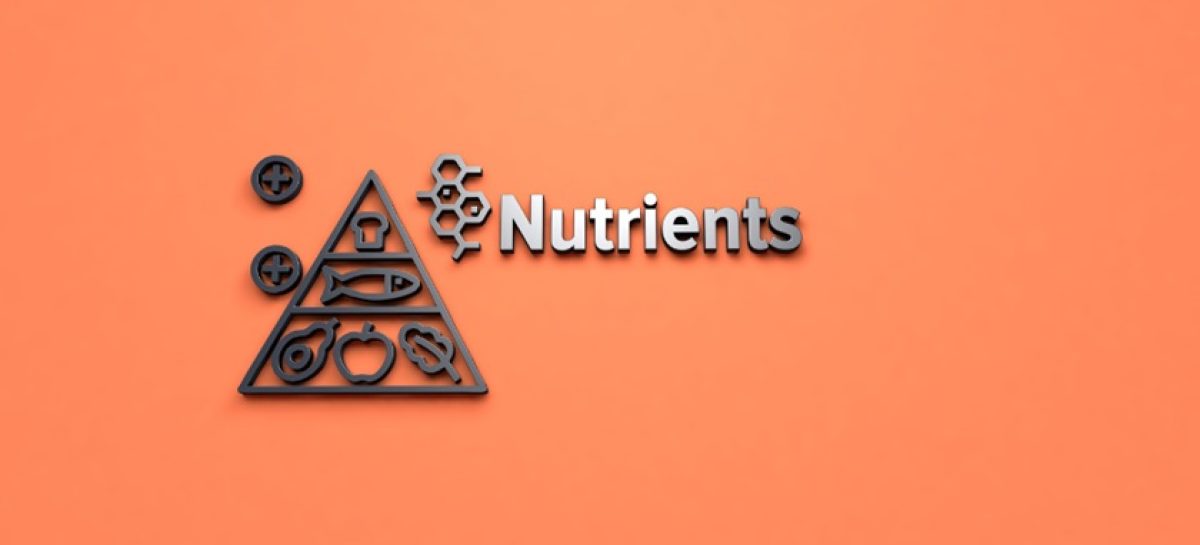 Essential Nutrients for Growing Minds: Top Supplements for Children’s Cognitive Health