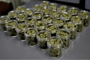 Best Strains for Relaxation Available Online in Canada