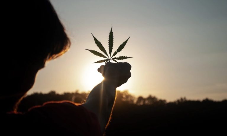 Plantabis-Dispensary